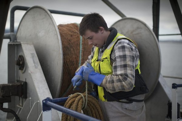 En quoi consiste le bail réel immobilier et ses avantages pour les agriculteurs?